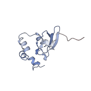 7024_6az1_W_v1-1
Cryo-EM structure of the small subunit of Leishmania ribosome bound to paromomycin