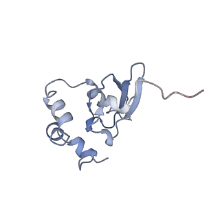 7024_6az1_W_v2-0
Cryo-EM structure of the small subunit of Leishmania ribosome bound to paromomycin