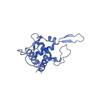 7024_6az1_X_v1-1
Cryo-EM structure of the small subunit of Leishmania ribosome bound to paromomycin