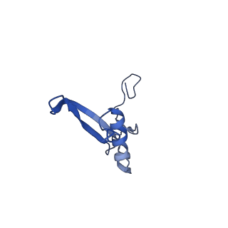 7024_6az1_Y_v1-1
Cryo-EM structure of the small subunit of Leishmania ribosome bound to paromomycin