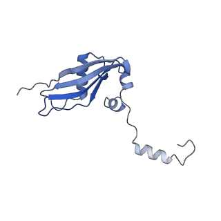 7024_6az1_Z_v1-1
Cryo-EM structure of the small subunit of Leishmania ribosome bound to paromomycin