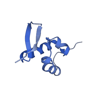 7024_6az1_a_v1-1
Cryo-EM structure of the small subunit of Leishmania ribosome bound to paromomycin