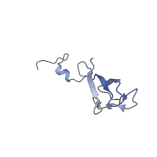 7024_6az1_c_v1-1
Cryo-EM structure of the small subunit of Leishmania ribosome bound to paromomycin