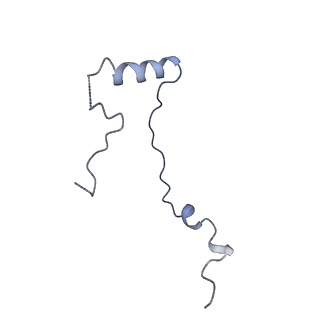 7024_6az1_e_v1-1
Cryo-EM structure of the small subunit of Leishmania ribosome bound to paromomycin