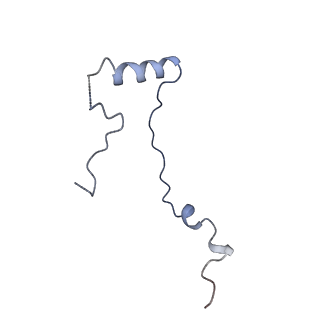 7024_6az1_e_v2-0
Cryo-EM structure of the small subunit of Leishmania ribosome bound to paromomycin