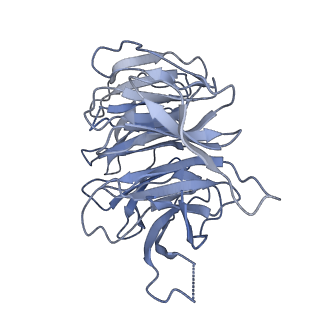 7024_6az1_g_v1-1
Cryo-EM structure of the small subunit of Leishmania ribosome bound to paromomycin