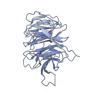 7024_6az1_g_v2-0
Cryo-EM structure of the small subunit of Leishmania ribosome bound to paromomycin