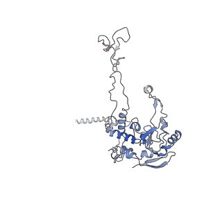 7025_6az3_C_v2-0
Cryo-EM structure of of the large subunit of Leishmania ribosome bound to paromomycin