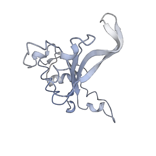 7025_6az3_D_v1-1
Cryo-EM structure of of the large subunit of Leishmania ribosome bound to paromomycin