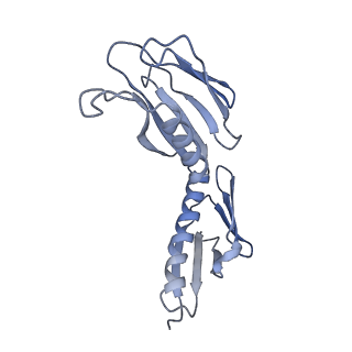 7025_6az3_E_v1-1
Cryo-EM structure of of the large subunit of Leishmania ribosome bound to paromomycin