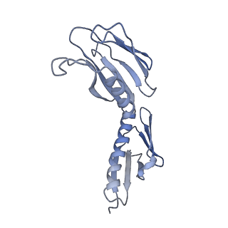 7025_6az3_E_v2-0
Cryo-EM structure of of the large subunit of Leishmania ribosome bound to paromomycin