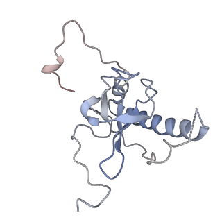 7025_6az3_F_v1-1
Cryo-EM structure of of the large subunit of Leishmania ribosome bound to paromomycin