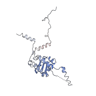 7025_6az3_G_v1-1
Cryo-EM structure of of the large subunit of Leishmania ribosome bound to paromomycin