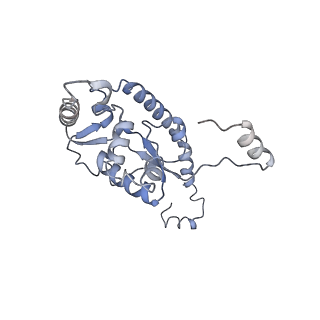 7025_6az3_H_v1-1
Cryo-EM structure of of the large subunit of Leishmania ribosome bound to paromomycin