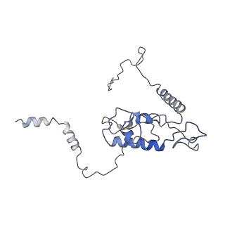 7025_6az3_I_v1-1
Cryo-EM structure of of the large subunit of Leishmania ribosome bound to paromomycin