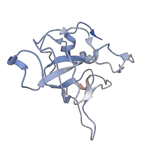 7025_6az3_J_v1-1
Cryo-EM structure of of the large subunit of Leishmania ribosome bound to paromomycin