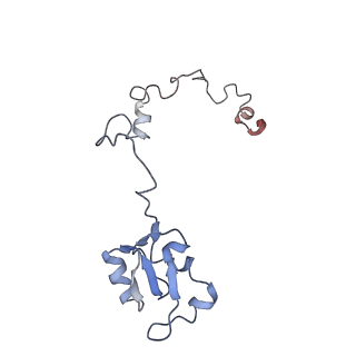 7025_6az3_L_v1-1
Cryo-EM structure of of the large subunit of Leishmania ribosome bound to paromomycin