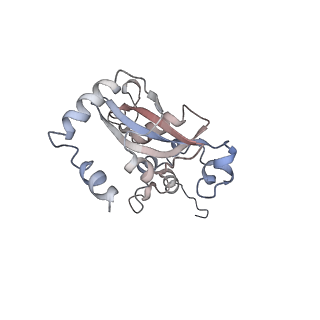 7025_6az3_M_v1-1
Cryo-EM structure of of the large subunit of Leishmania ribosome bound to paromomycin