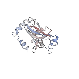 7025_6az3_M_v2-0
Cryo-EM structure of of the large subunit of Leishmania ribosome bound to paromomycin