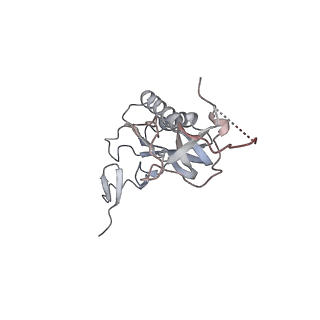 7025_6az3_N_v1-1
Cryo-EM structure of of the large subunit of Leishmania ribosome bound to paromomycin