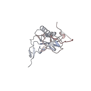 7025_6az3_N_v2-0
Cryo-EM structure of of the large subunit of Leishmania ribosome bound to paromomycin
