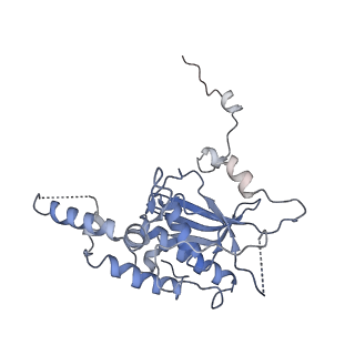 7025_6az3_O_v1-1
Cryo-EM structure of of the large subunit of Leishmania ribosome bound to paromomycin