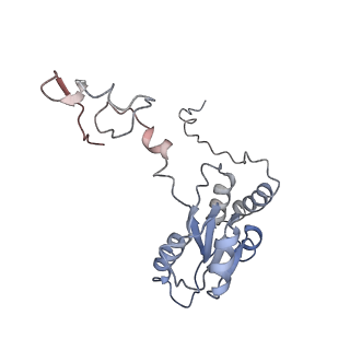 7025_6az3_P_v1-1
Cryo-EM structure of of the large subunit of Leishmania ribosome bound to paromomycin