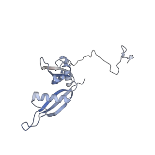 7025_6az3_R_v1-1
Cryo-EM structure of of the large subunit of Leishmania ribosome bound to paromomycin