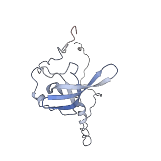 7025_6az3_S_v1-1
Cryo-EM structure of of the large subunit of Leishmania ribosome bound to paromomycin