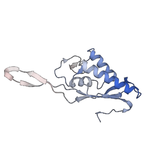 7025_6az3_T_v1-1
Cryo-EM structure of of the large subunit of Leishmania ribosome bound to paromomycin