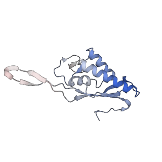 7025_6az3_T_v2-0
Cryo-EM structure of of the large subunit of Leishmania ribosome bound to paromomycin