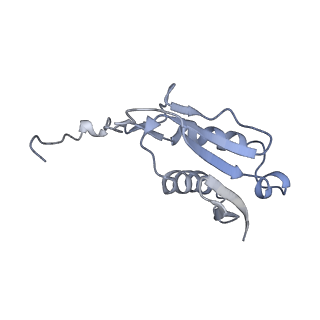 7025_6az3_U_v1-1
Cryo-EM structure of of the large subunit of Leishmania ribosome bound to paromomycin