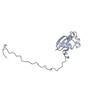 7025_6az3_V_v1-1
Cryo-EM structure of of the large subunit of Leishmania ribosome bound to paromomycin