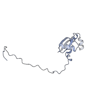 7025_6az3_V_v2-0
Cryo-EM structure of of the large subunit of Leishmania ribosome bound to paromomycin