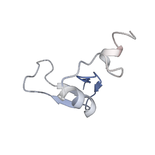 7025_6az3_X_v1-1
Cryo-EM structure of of the large subunit of Leishmania ribosome bound to paromomycin