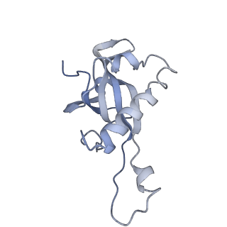 7025_6az3_Y_v1-1
Cryo-EM structure of of the large subunit of Leishmania ribosome bound to paromomycin