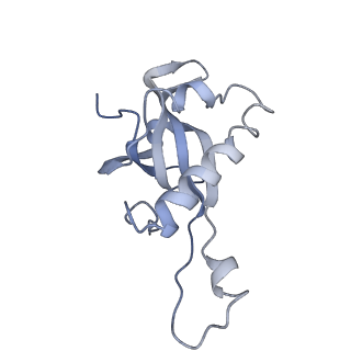7025_6az3_Y_v2-0
Cryo-EM structure of of the large subunit of Leishmania ribosome bound to paromomycin