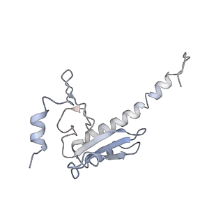 7025_6az3_Z_v1-1
Cryo-EM structure of of the large subunit of Leishmania ribosome bound to paromomycin