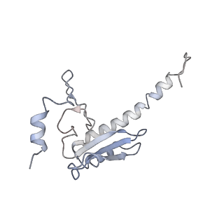 7025_6az3_Z_v2-0
Cryo-EM structure of of the large subunit of Leishmania ribosome bound to paromomycin