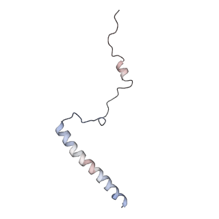 7025_6az3_b_v1-1
Cryo-EM structure of of the large subunit of Leishmania ribosome bound to paromomycin
