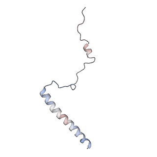 7025_6az3_b_v2-0
Cryo-EM structure of of the large subunit of Leishmania ribosome bound to paromomycin