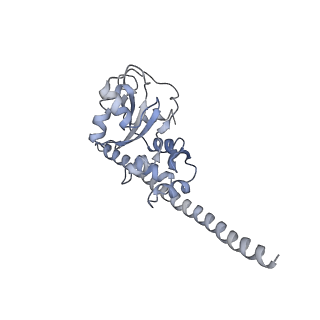 7025_6az3_c_v1-1
Cryo-EM structure of of the large subunit of Leishmania ribosome bound to paromomycin