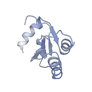 7025_6az3_d_v1-1
Cryo-EM structure of of the large subunit of Leishmania ribosome bound to paromomycin