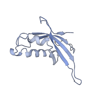 7025_6az3_e_v1-1
Cryo-EM structure of of the large subunit of Leishmania ribosome bound to paromomycin