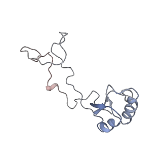 7025_6az3_f_v1-1
Cryo-EM structure of of the large subunit of Leishmania ribosome bound to paromomycin