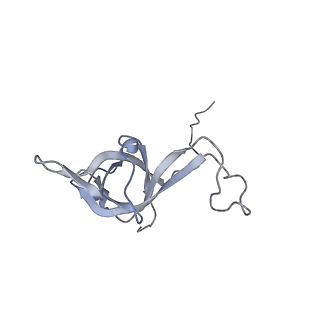 7025_6az3_g_v1-1
Cryo-EM structure of of the large subunit of Leishmania ribosome bound to paromomycin