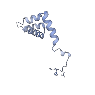 7025_6az3_i_v1-1
Cryo-EM structure of of the large subunit of Leishmania ribosome bound to paromomycin