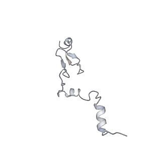 7025_6az3_j_v1-1
Cryo-EM structure of of the large subunit of Leishmania ribosome bound to paromomycin