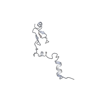 7025_6az3_j_v2-0
Cryo-EM structure of of the large subunit of Leishmania ribosome bound to paromomycin