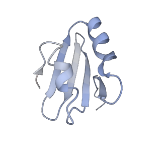 7025_6az3_k_v1-1
Cryo-EM structure of of the large subunit of Leishmania ribosome bound to paromomycin